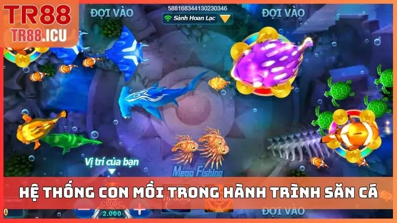 Hệ thống con mồi trong hành trình săn cá